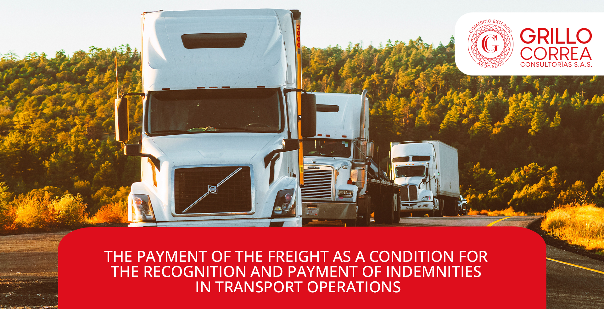 THE PAYMENT OF THE FREIGHT AS A CONDITION FOR THE RECOGNITION AND PAYMENT OF INDEMNITIES IN TRANSPORT OPERATIONS