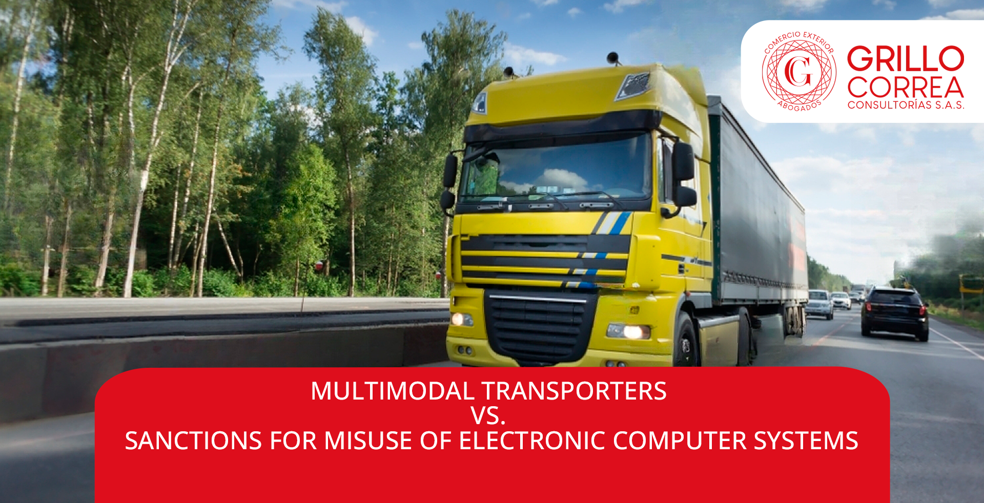 MULTIMODAL TRANSPORTERS VS SANCTIONS FOR MISUSE OF ELECTRONIC COMPUTER SYSTEMS