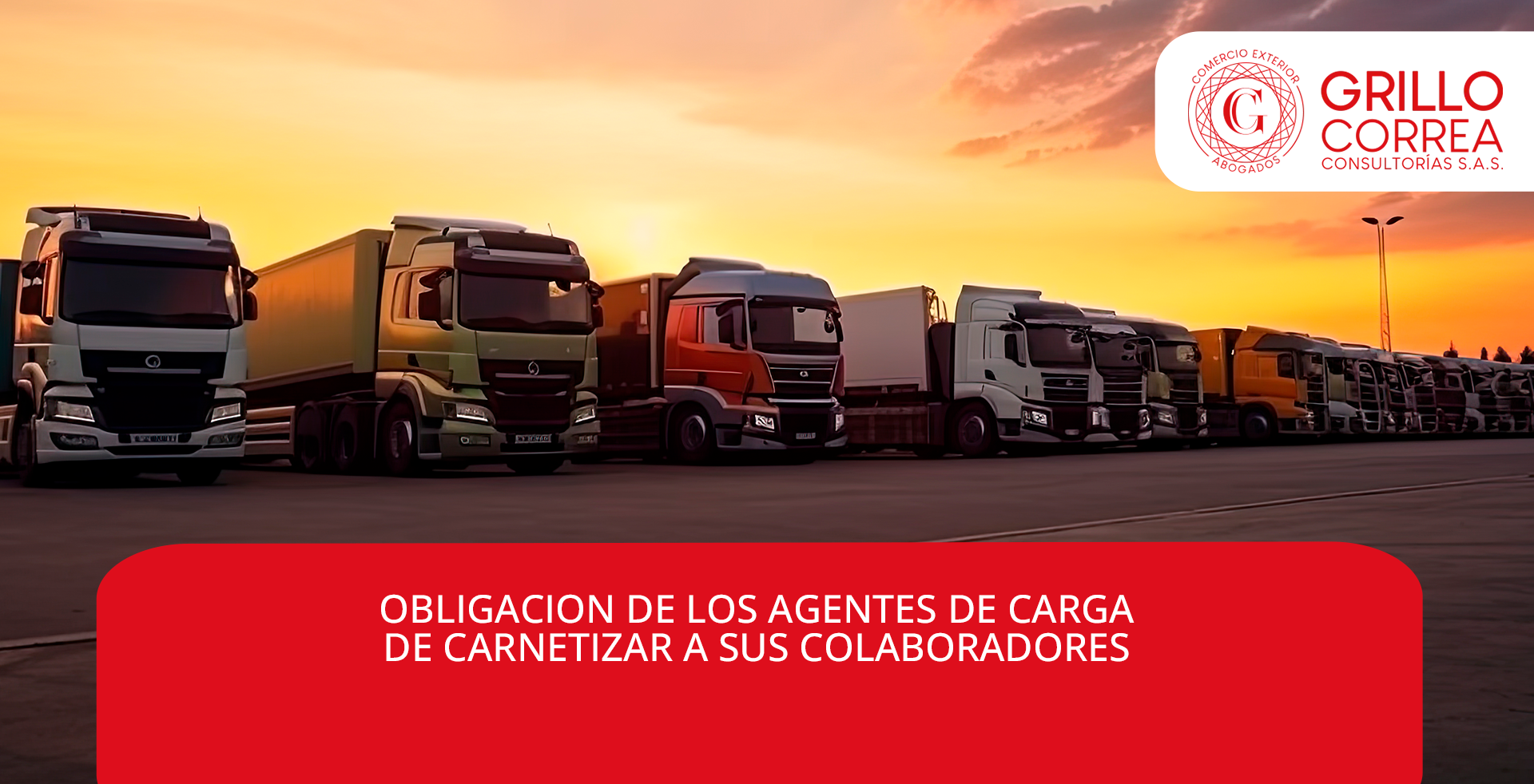 OBLIGACION DE LOS AGENTES DE CARGA DE CARNETIZAR A SUS COLABORADORES