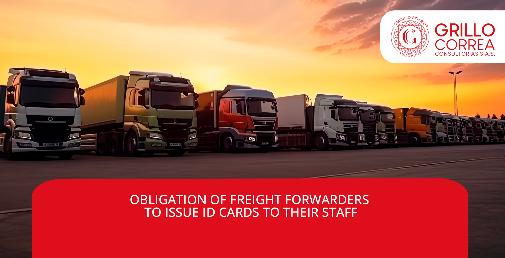 OBLIGATION OF FREIGHT FORWARDERS TO ISSUE ID CARDS TO THEIR STAFF